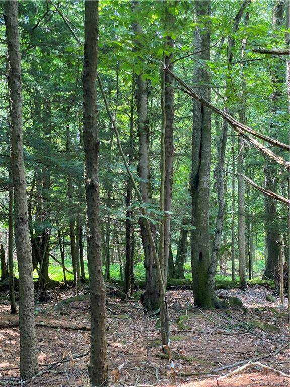 Old Tacy Road Tr 95 - Photo 1