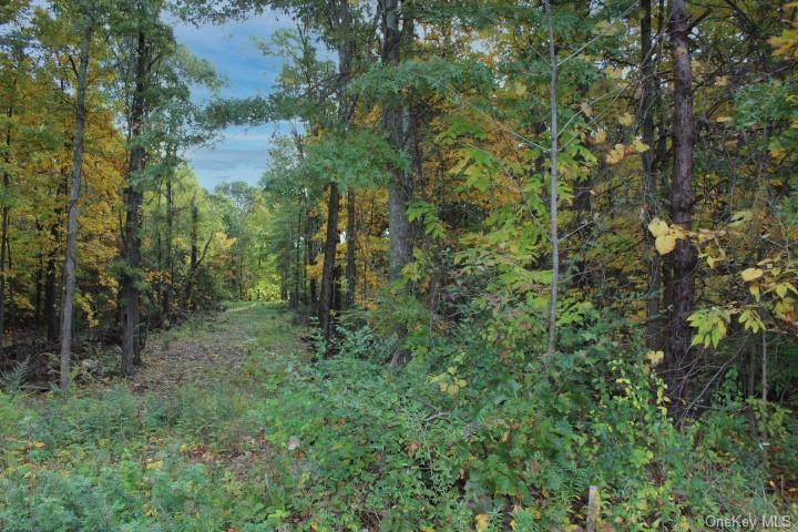 Tbd Orchard (Next To #757) Lots 2 And 3 Drive - Photo 1
