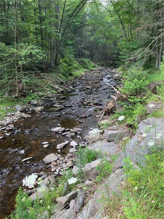 309 Upper Pine Kill Road - Photo 1
