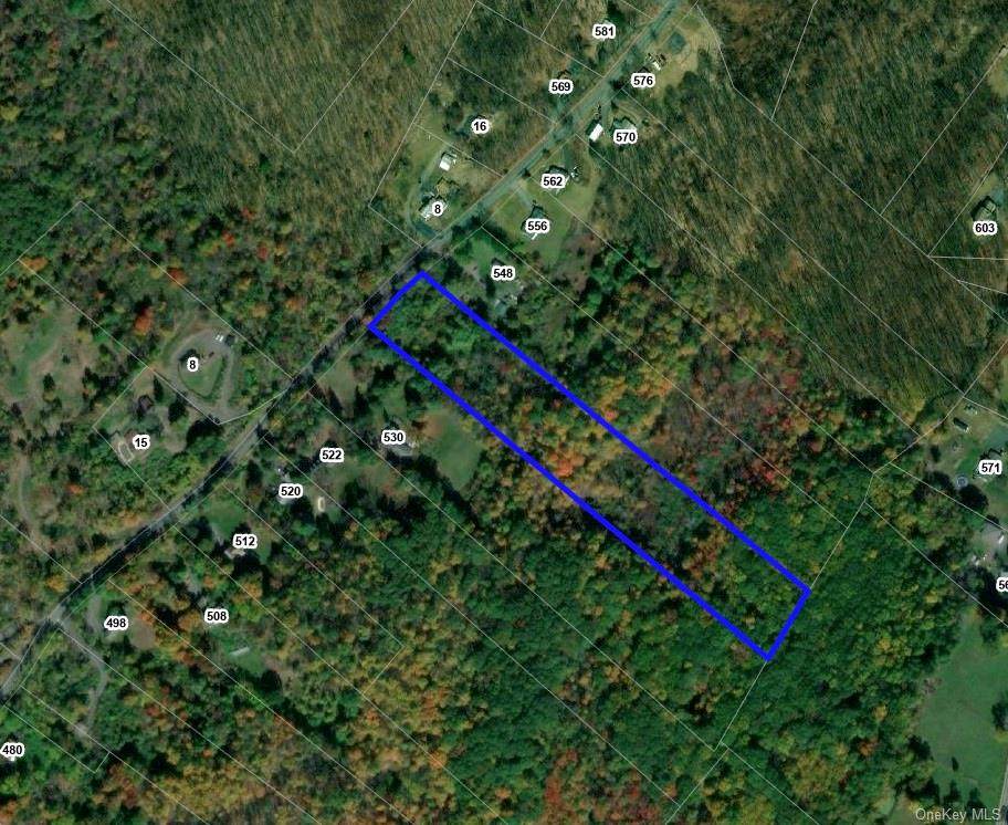 Old Mountain Road - Photo 1