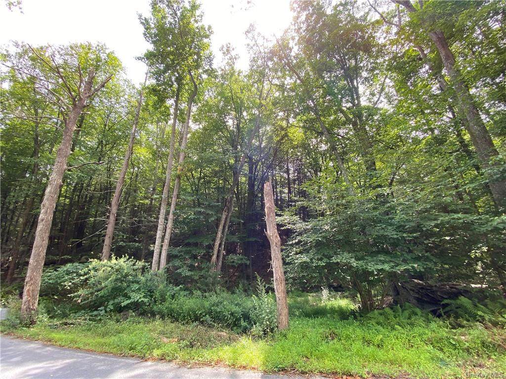 141 Brandt Road - Photo 1