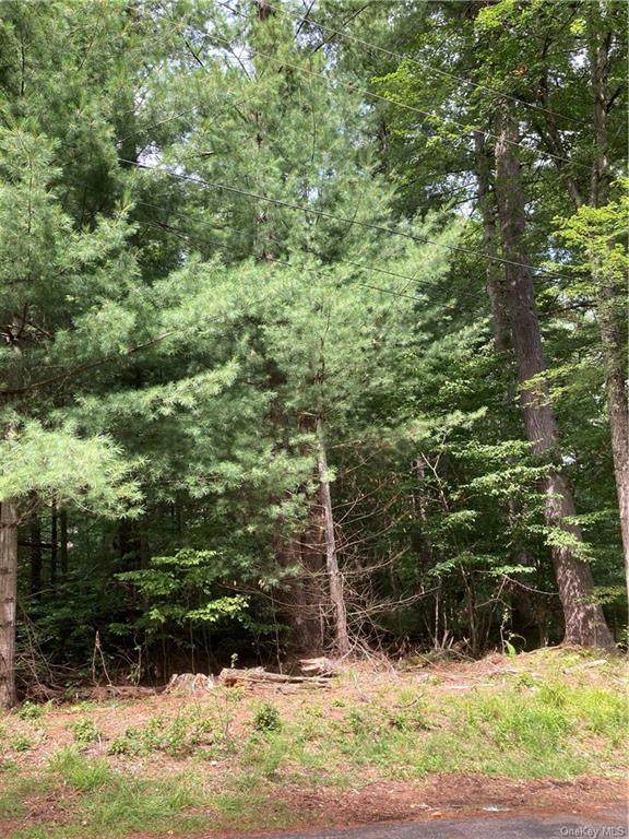 Camp Kennybrook Road - Photo 1
