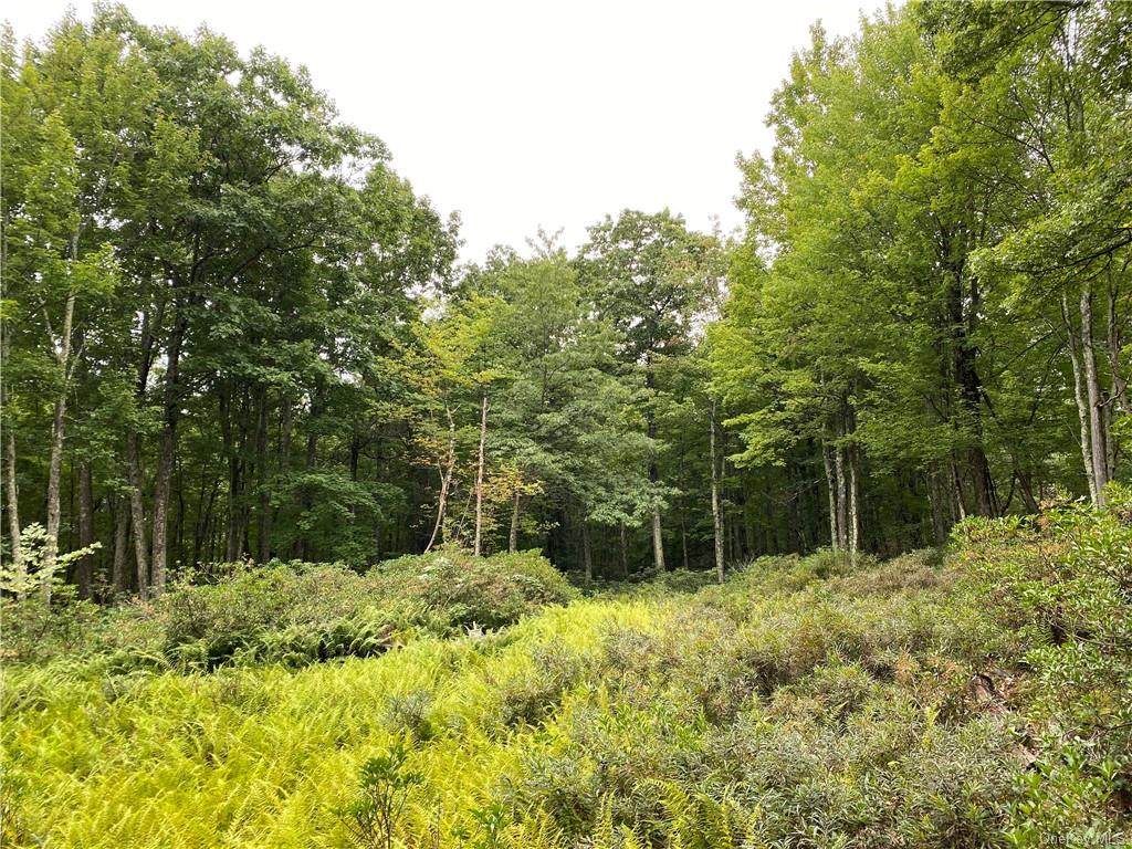 Budd Road - Photo 1