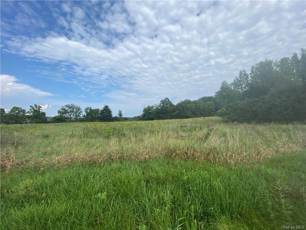 Lot #1 Hamptonburgh Road - Photo 1