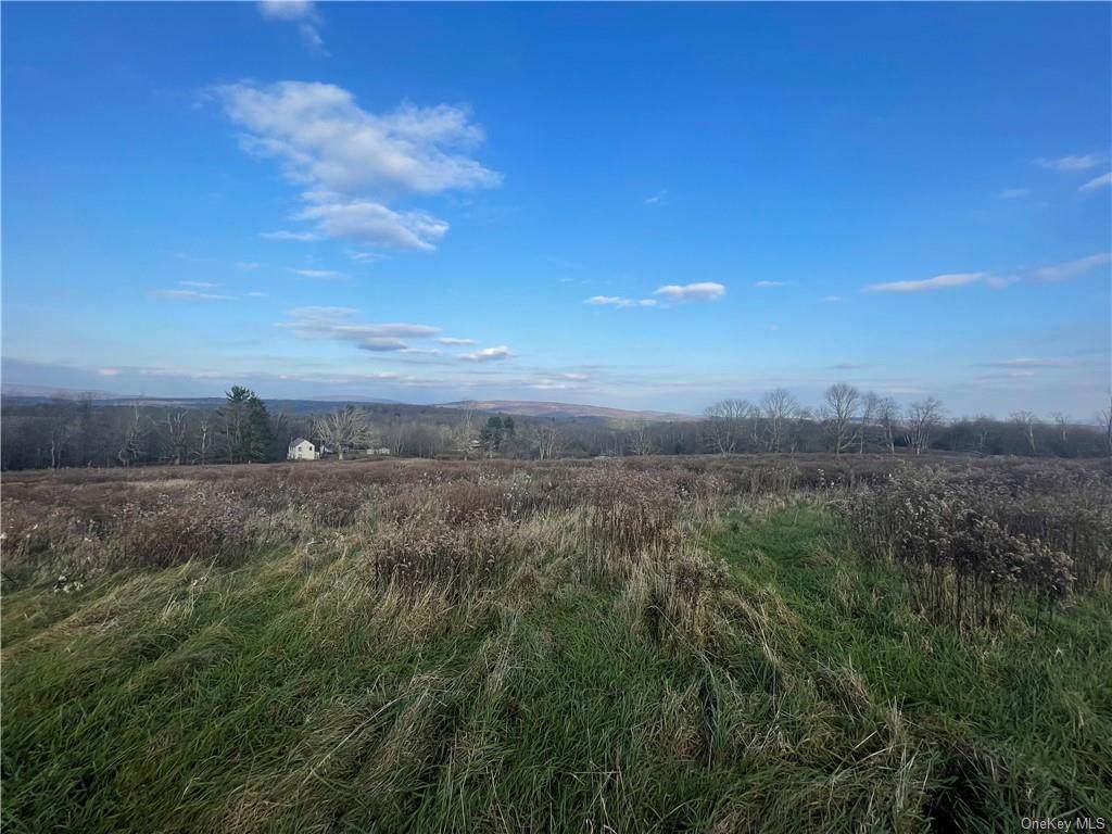 54 Cole Road - Photo 1