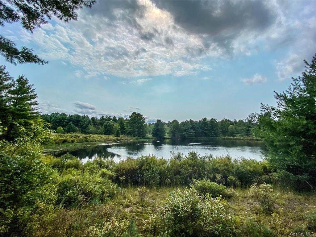 Lot 19 Valley Road - Photo 1