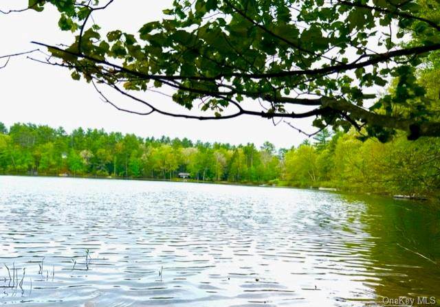 Washington Lake Road - Photo 1