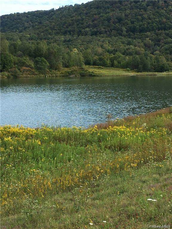 County Highway 206 - Photo 1