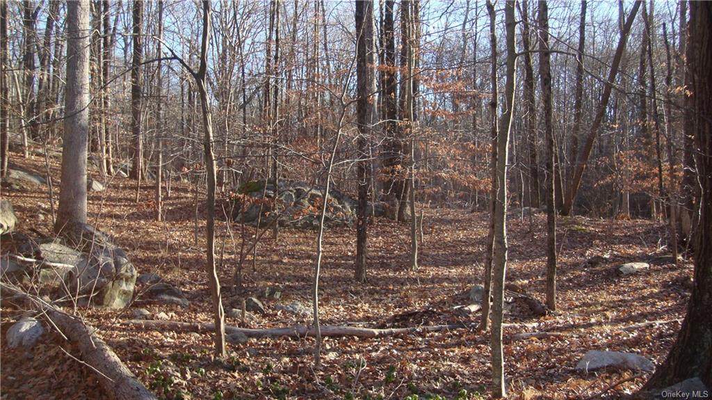 Lake Shore Road - Photo 1