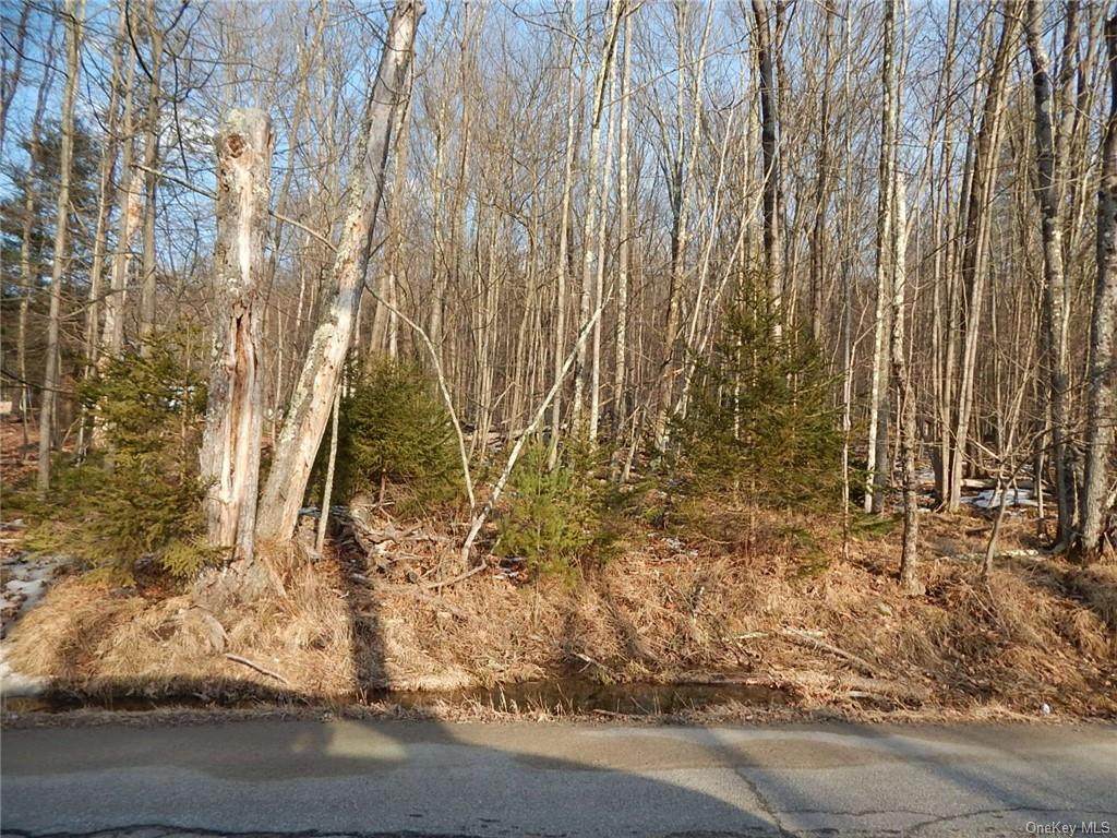 Lot 43.1 Wildwood Rd. A/K/A Park House Road Tr 62 - Photo 1