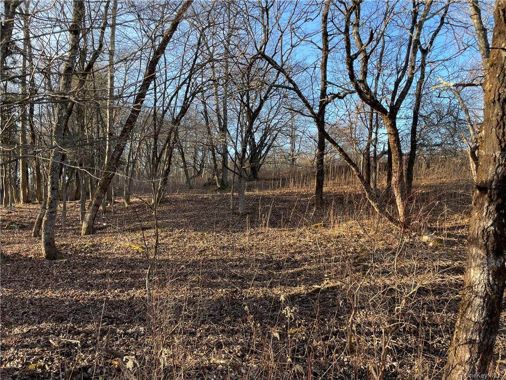 Tanzman Road - Photo 1