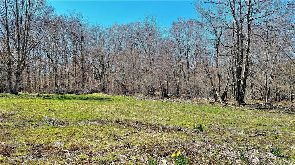 505 Breezy Hill Road - Photo 1
