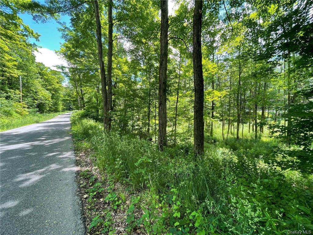 Old Greenfield Road - Photo 1