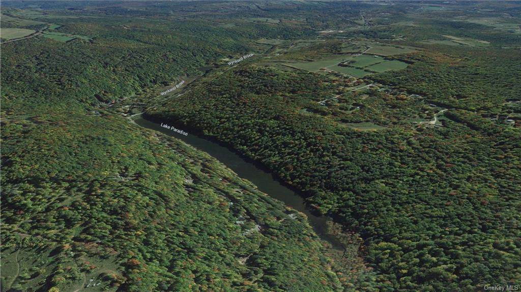 100 acres Benton Hollow Road - Photo 1