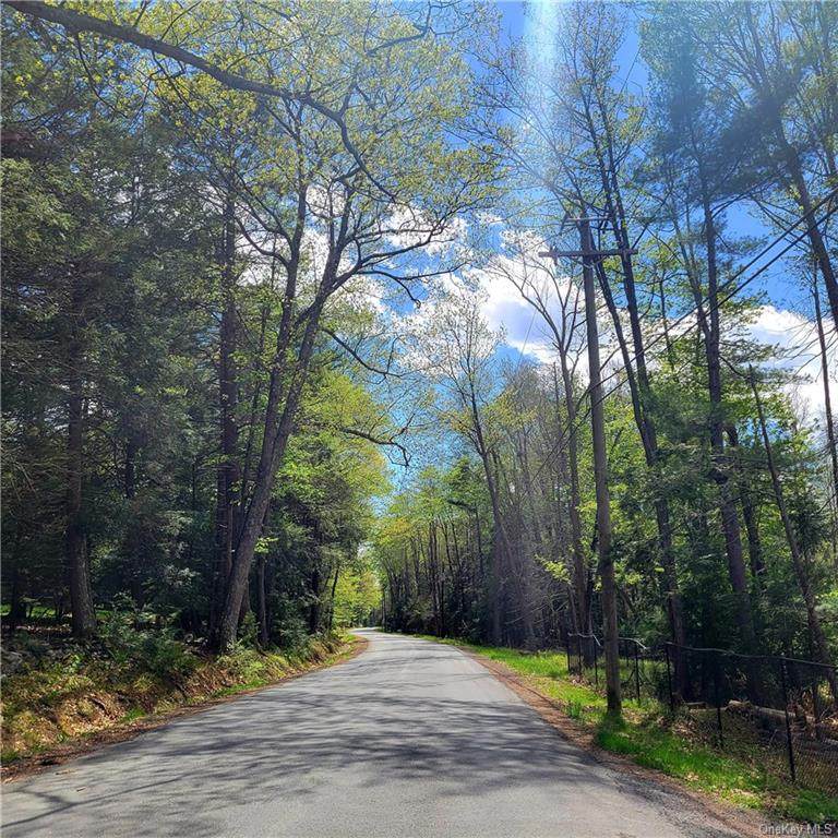 ** Rod & Gun Club Road - Photo 1