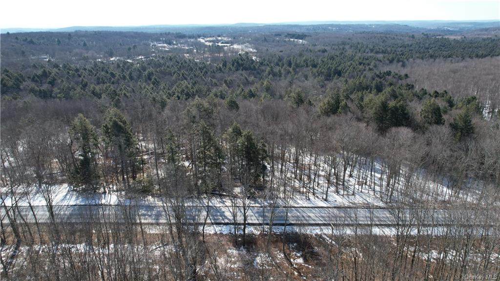 Neversink Road - Photo 1