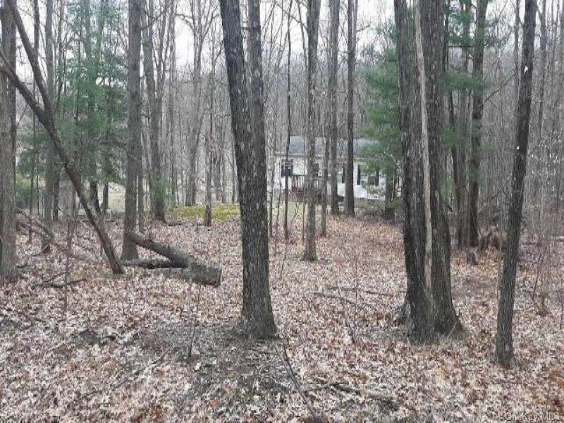 467 Roosa Gap Road - Photo 1