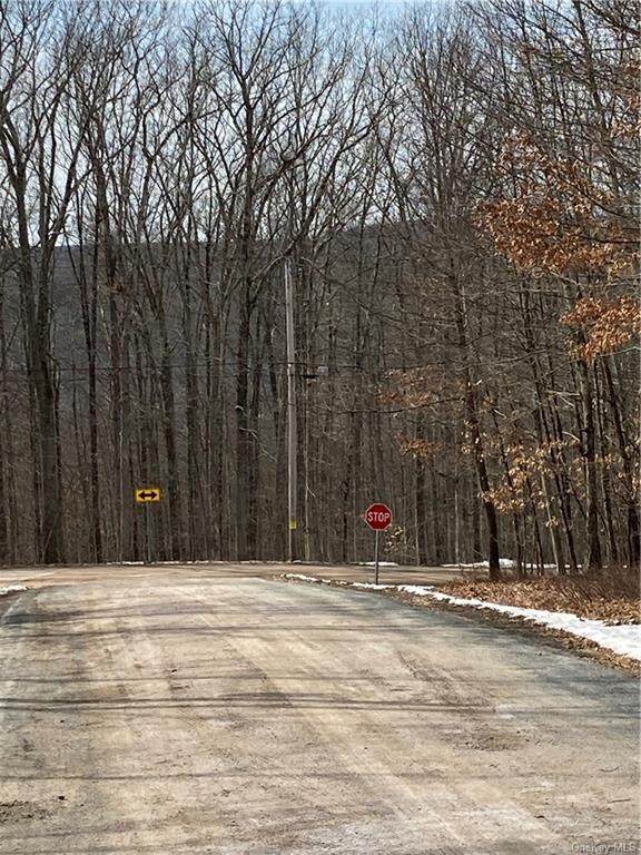 Maple Lane - Photo 1