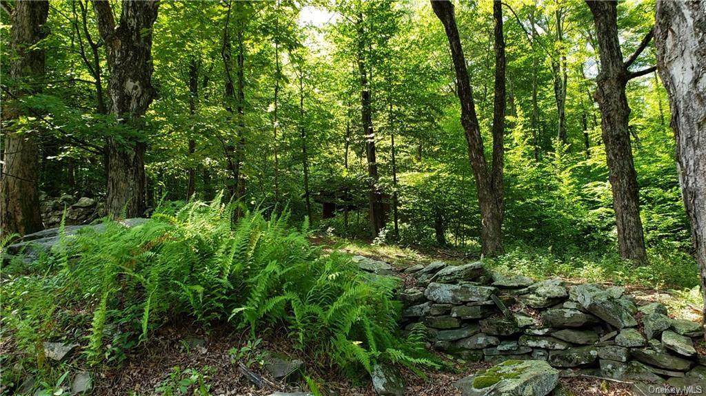 302 Todd Road Tr 11 - Photo 1