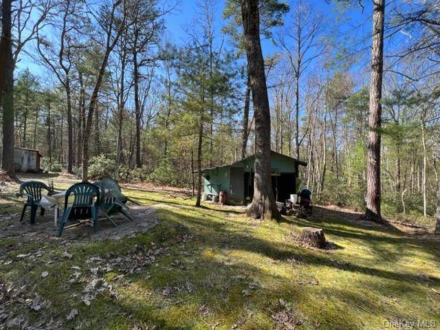 Lot 4 Woods Road - Photo 1