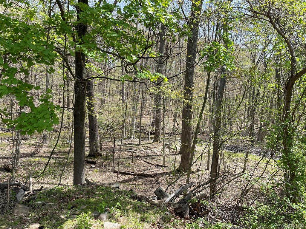 458 Pascack Road - Photo 1