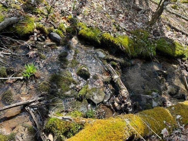 T R 14 - Photo 1