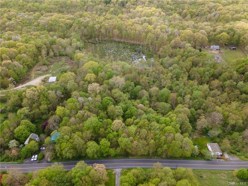 217 Tuckers Corners Road - Photo 1