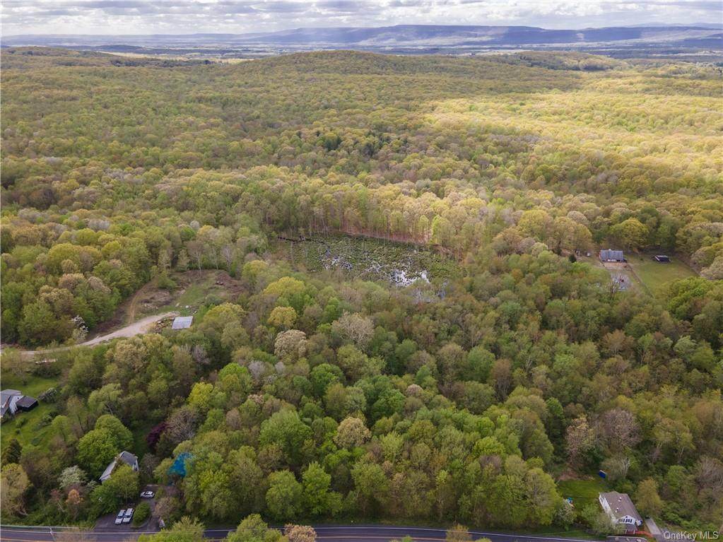 213 Tuckers Corners Road - Photo 1