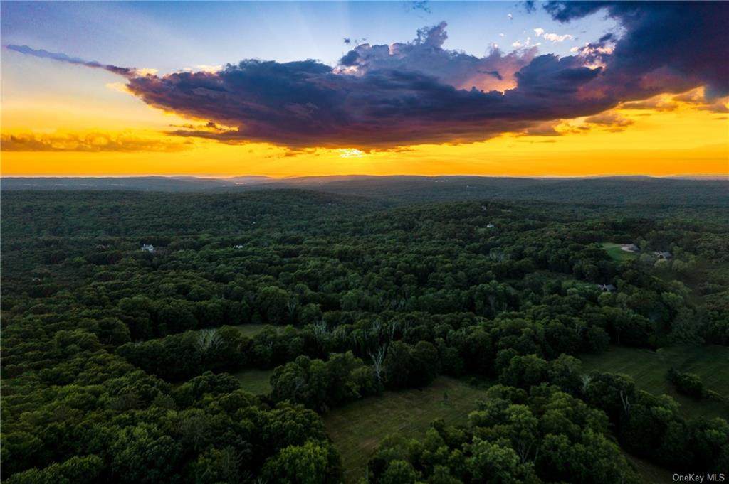 725 Croton Lake Road - Photo 1