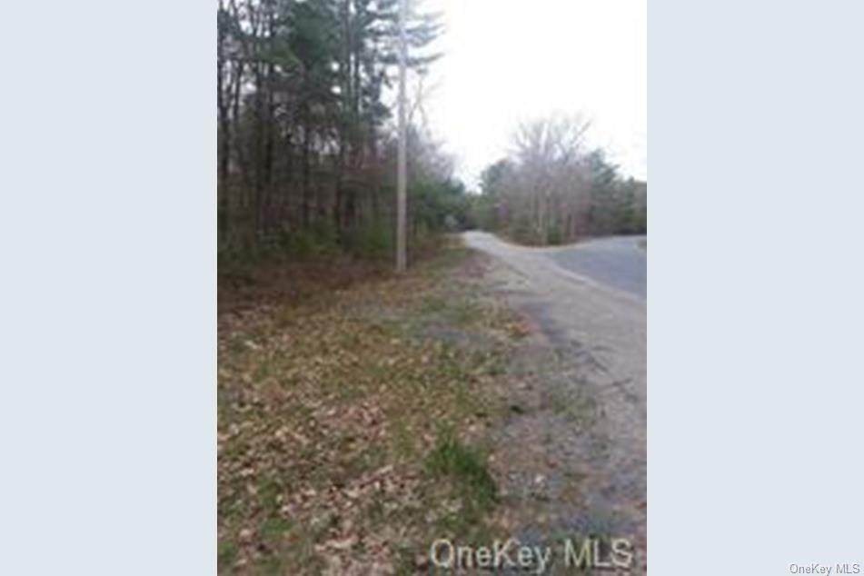 Forestburgh Road - Photo 1