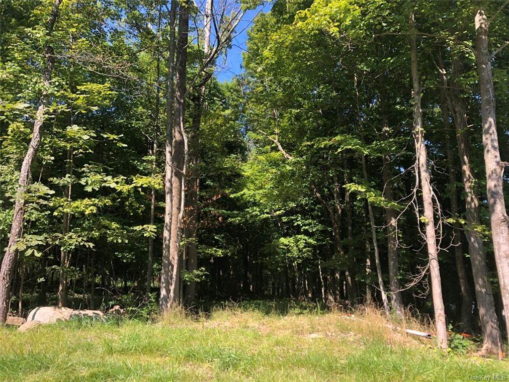 250 Mineral Springs Road - Photo 1