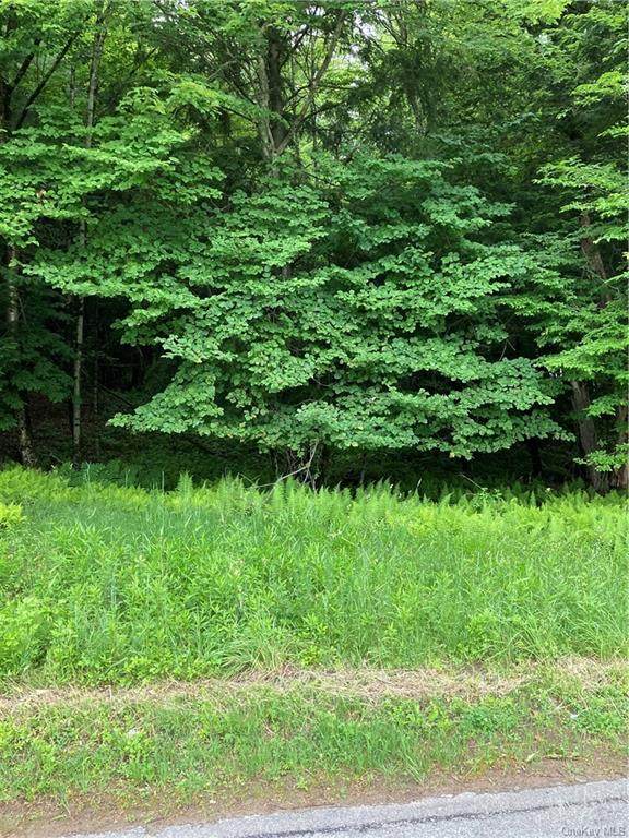 Benton Hollow Road - Photo 1