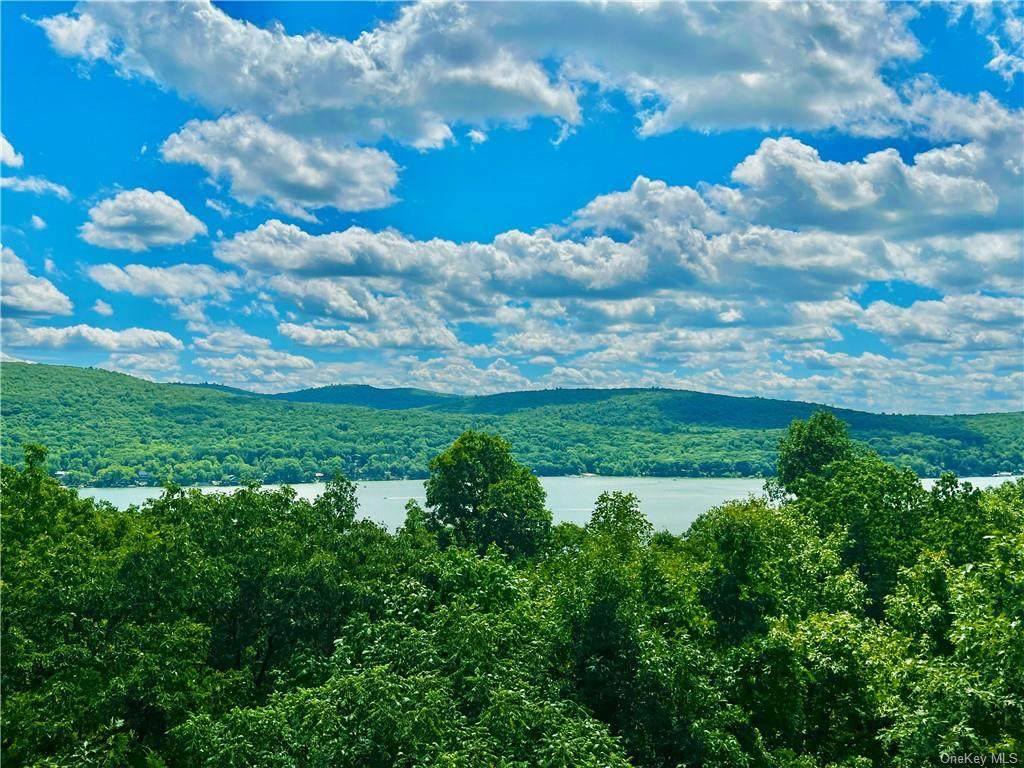 132 Blueberry Hill - Photo 1
