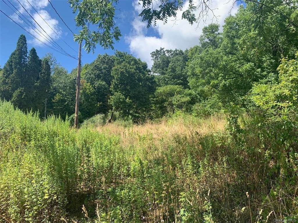 66 Mountain Road - Photo 1