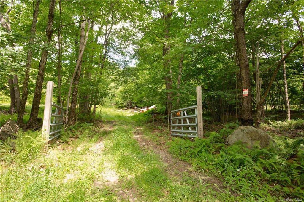 221 Upper Punchbowl Road - Photo 1