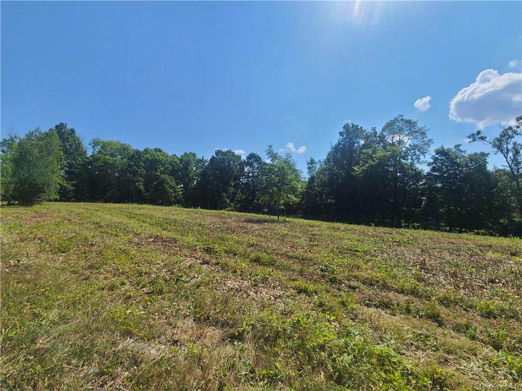 29 Paglia Drive - Photo 1