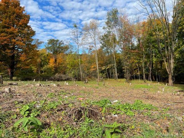 85 Silver Lake Scotchtown Road - Photo 1