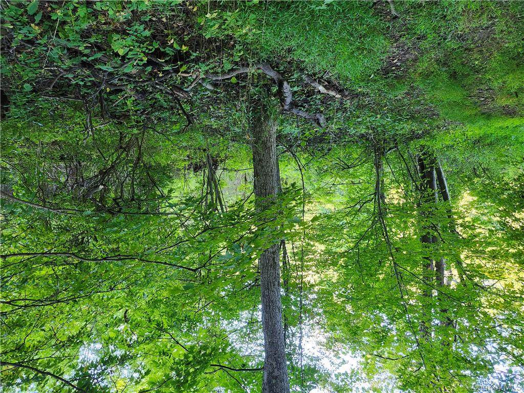 188 Old Stage Road - Photo 1