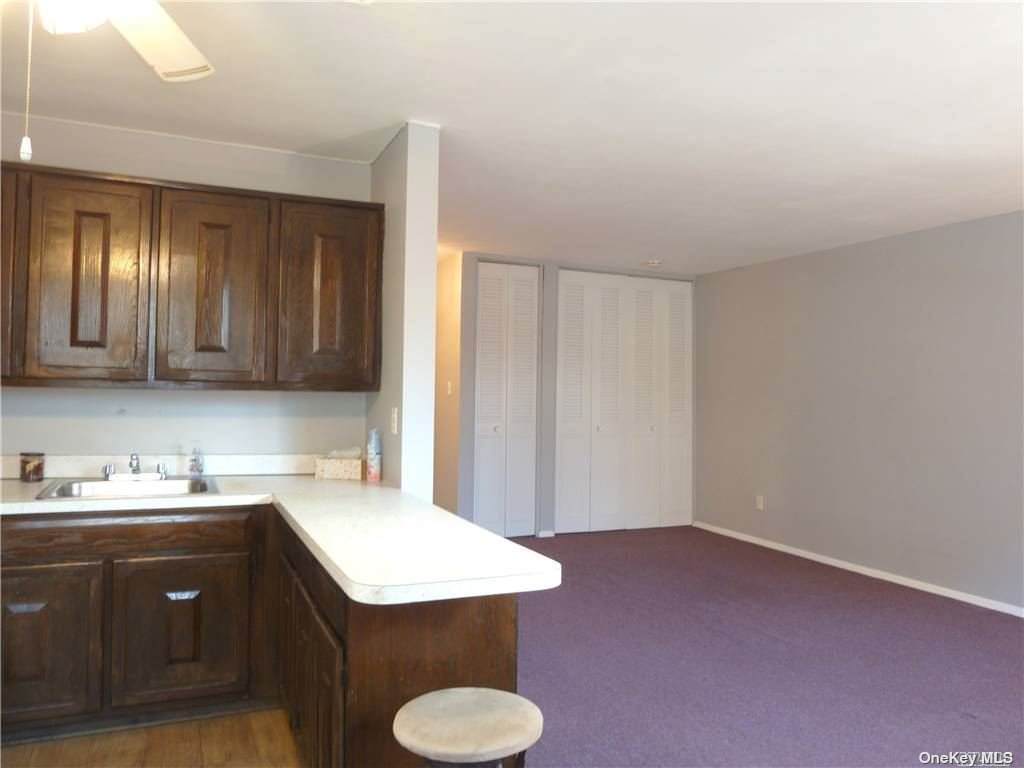 68-15 Selfridge Street - Photo 1