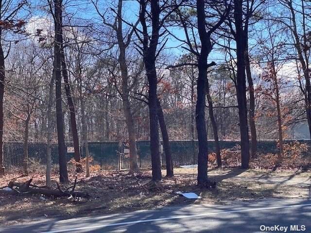 Havenwood Drive - Photo 1