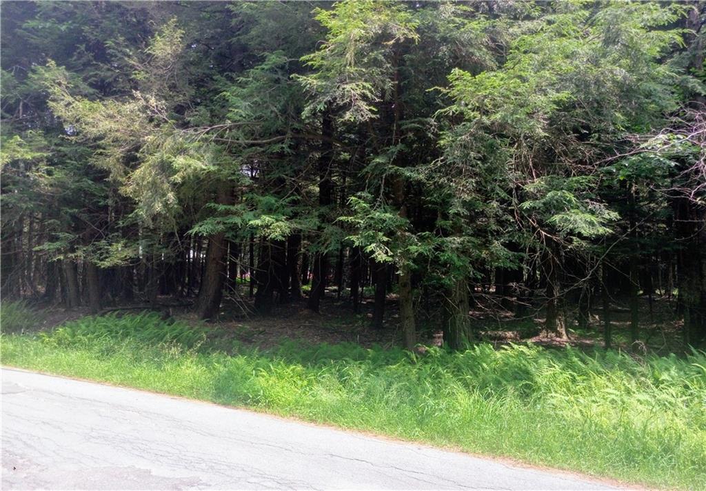TBD Old Tacy - Photo 1