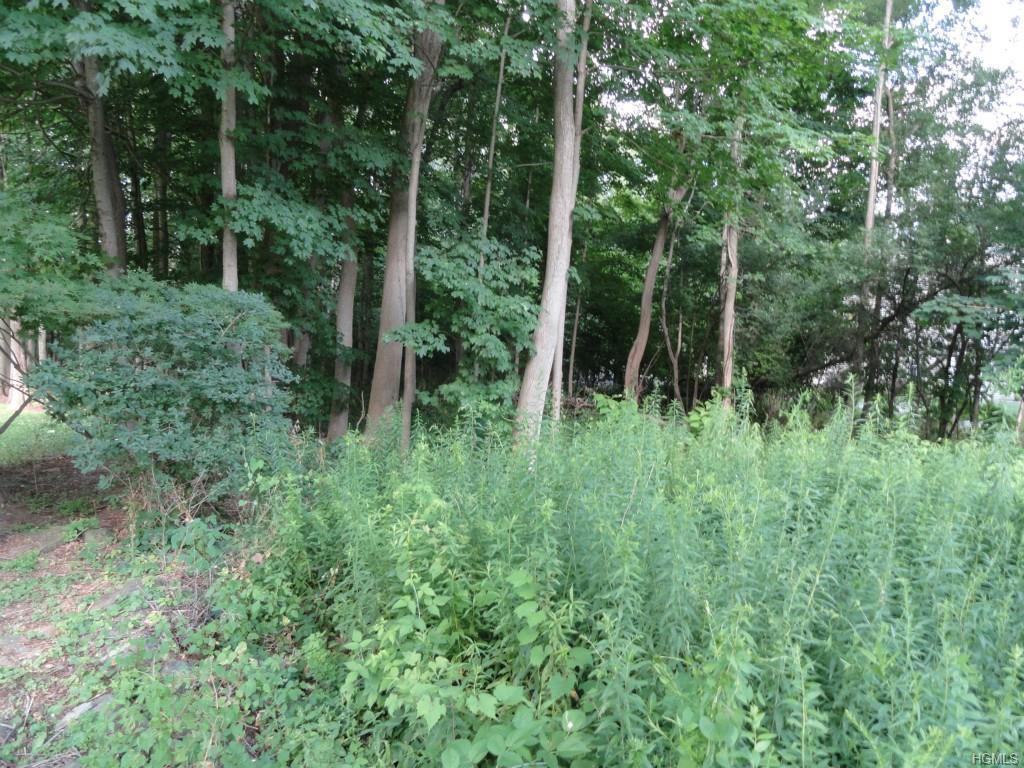 TBD Union Avenue - Photo 1
