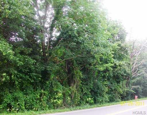1533 Nys Rte 300 Lot #2 - Photo 1