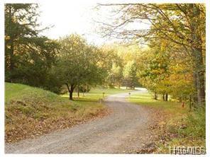 TBD Nys Route 32 - Photo 1