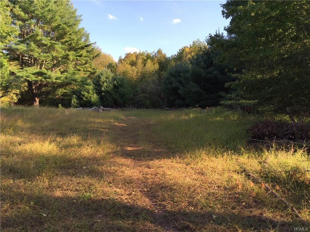 Dryer Road Tr 29 - Photo 1