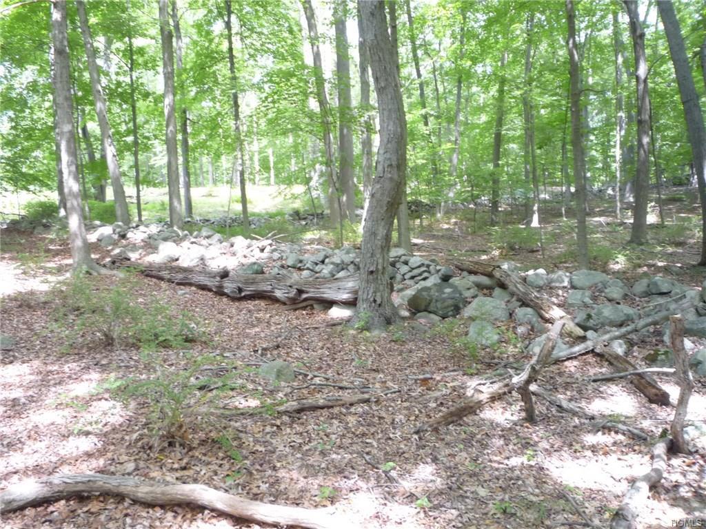 Lake Surprise Road - Photo 1