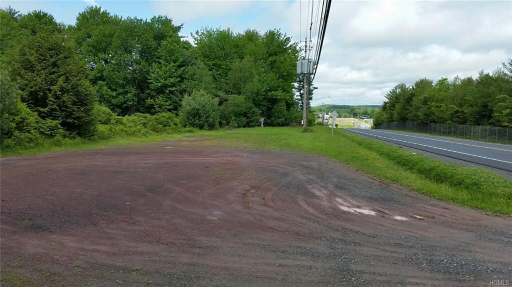 0 Bridgeville Road - Photo 1