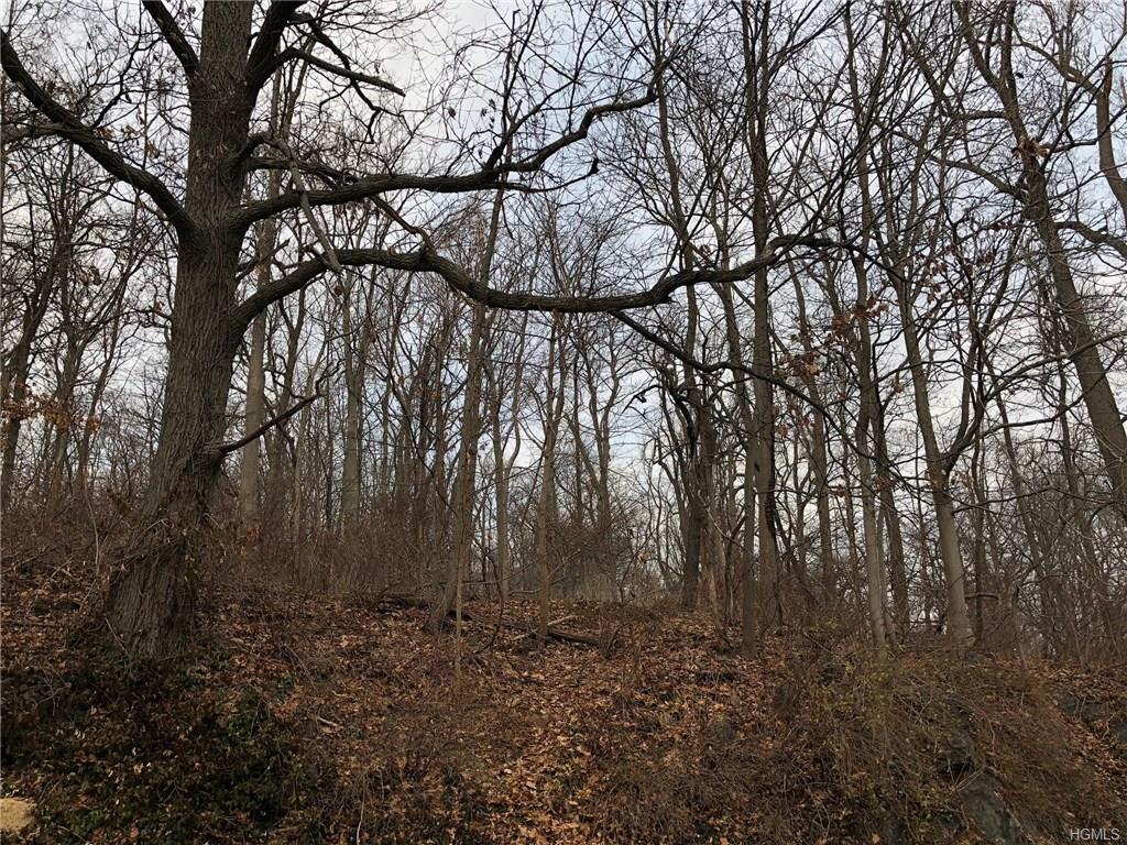Old Tarrytown Road - Photo 1