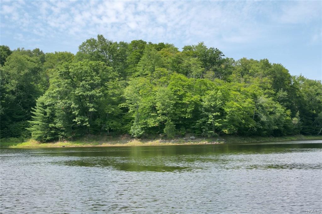 153 Woodstone Trail - Photo 1