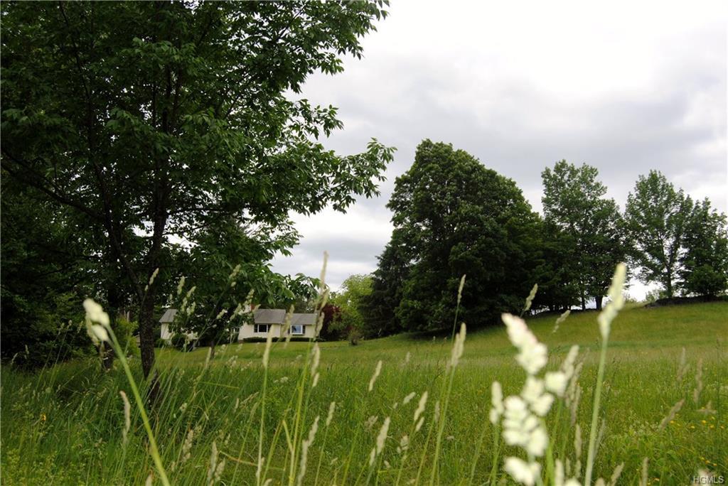 2299 Ulster Heights Road - Photo 1